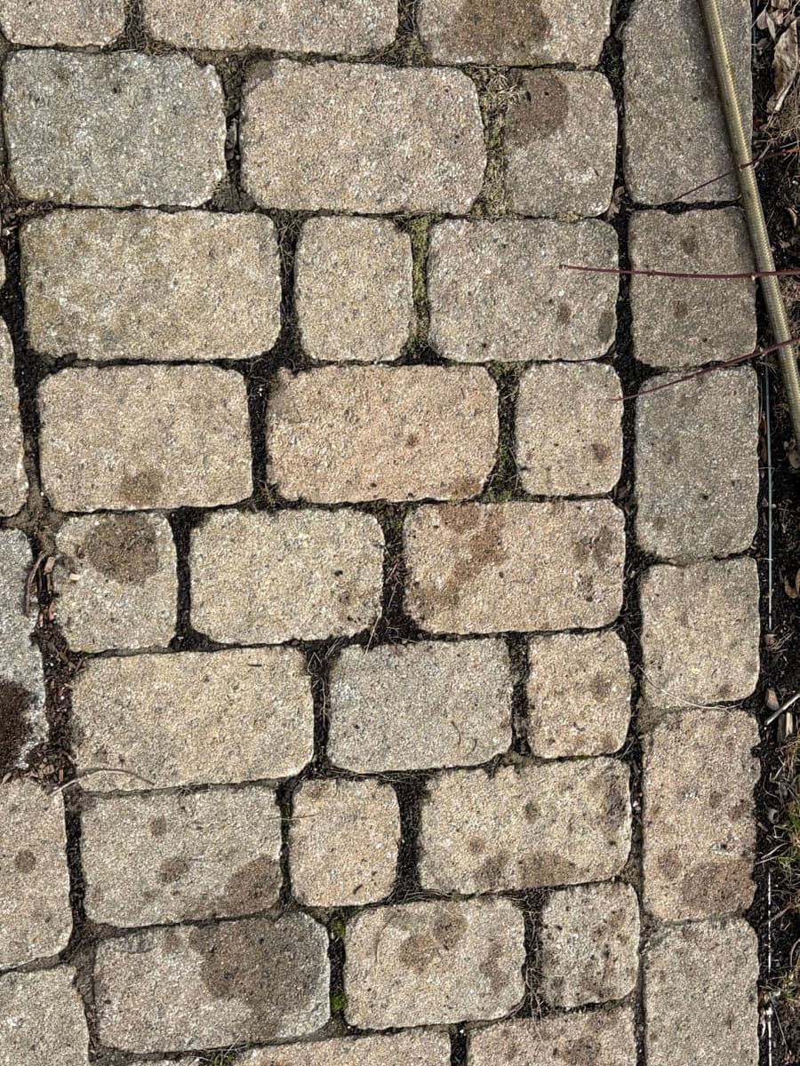 Patio en pavé - APRÈS